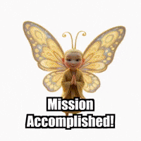 Mission Accomplished Success GIF by BuddhaFlyJourney