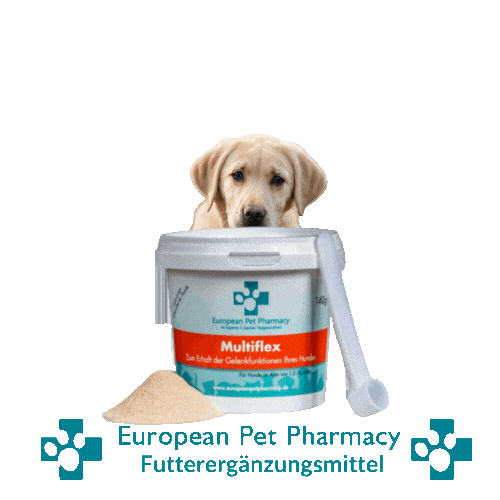 Lab Retrieve Sticker by Europeanpetpharmacy