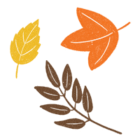 Autumn Leaf Sticker by Daniela Nachtigall
