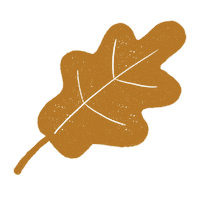 Autumn Herbst Sticker by Daniela Nachtigall