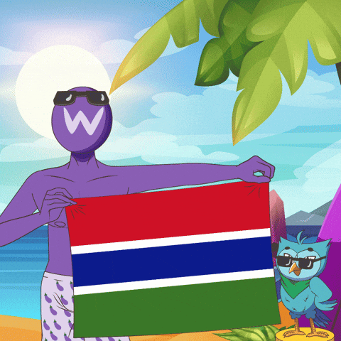 Gambia Flag GIF