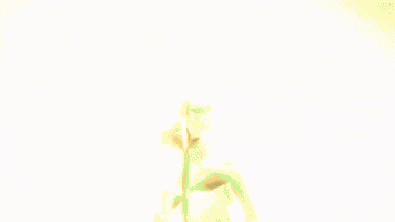 Destiny 2 Sword GIF by DestinyTheGame