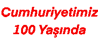 Ataturk Ata Sticker by Miyase
