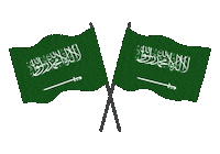 Saudi Arabia Sticker