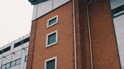 Stadium S6 GIF by Sheffield Wednesday Football Club