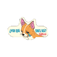 Galletasfestival Sticker by Compañía De Galletas Noel