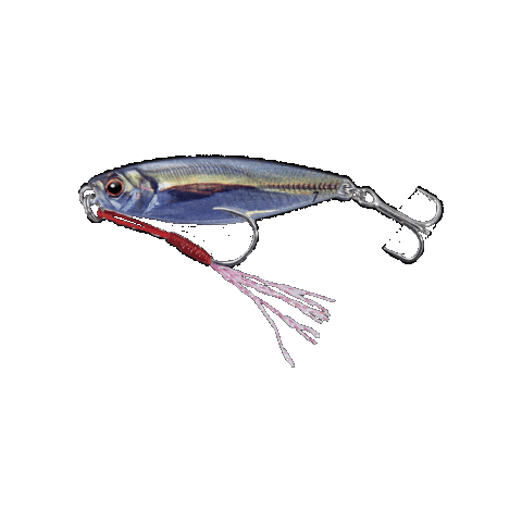 Fish Fishing Sticker by Majorcraftamerica