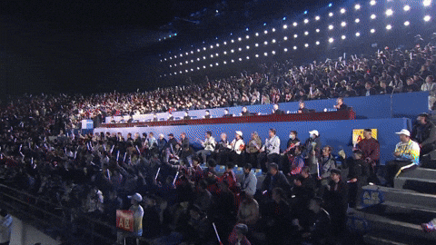 SteelyardTaiChi giphyupload usa america united states GIF