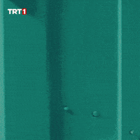 Home Look GIF by TRT