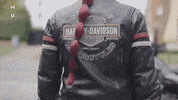 Performance Experience GIF by Harley-Davidson