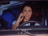 season 2 netflix GIF by Gilmore Girls 