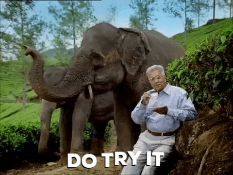 cembilici giphygifmaker dilmah do try it GIF