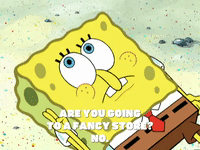 season 6 porous pockets GIF by SpongeBob SquarePants