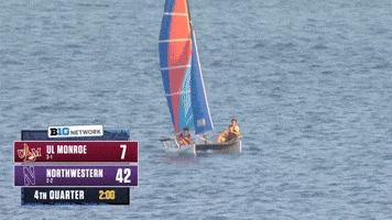 Big Ten Football GIF by Northwestern Athletics