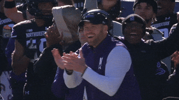 Excited College Football GIF by Northwestern Athletics