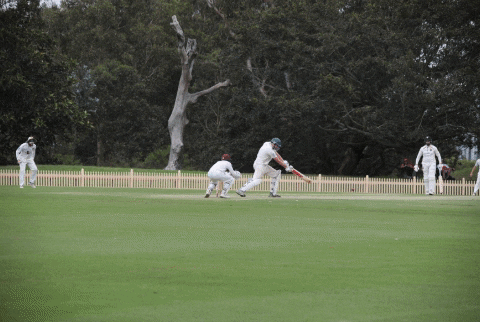 UTS_NSDCC giphygifmaker GIF