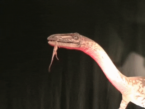 Mugcake giphyupload italy dinosaur 2000s GIF