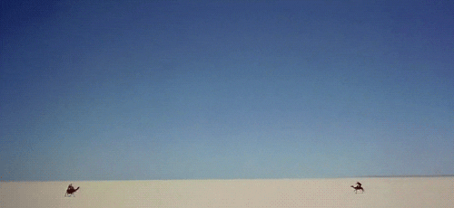 lawrence of arabia camels GIF by Maudit