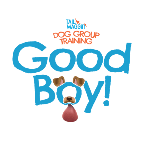 Good Boy Sticker by Tail Waggin'