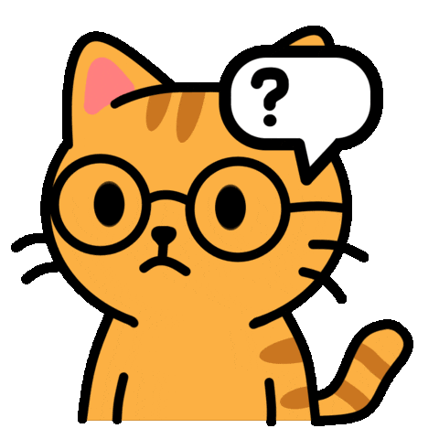 Confused Cat Sticker