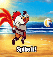 Beach Volleyball GIF by Zorooster