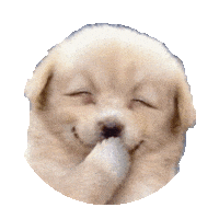 Very Funny Laugh Sticker by imoji