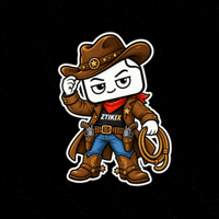 Wild West Hat GIF by ZTIKIX