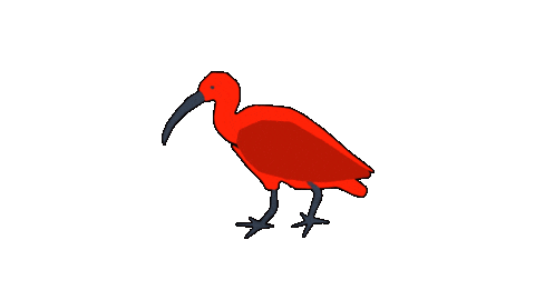 Bird Guaratuba Sticker by Guará Mapping Festival