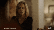 Usa Network Television GIF by Queen of the South