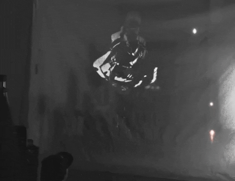 katleehornstein giphygifmaker GIF