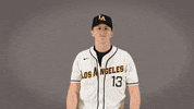 Cal State La Baseball GIF by Cal State LA Golden Eagles