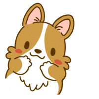 Confused Welsh Corgi Sticker by Lazy Corgi