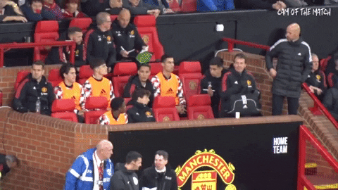 highansol93 giphyupload GIF