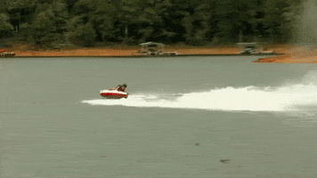 cmt GIF by Redneck Island