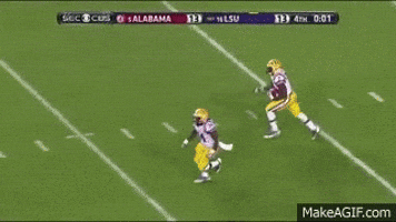 lsu GIF