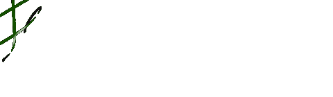 sheleadsme giphyupload woman women community Sticker