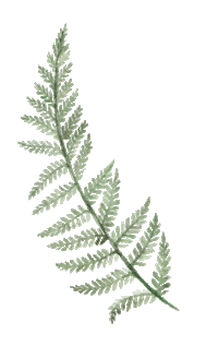titatoni flower green bloom gardening Sticker