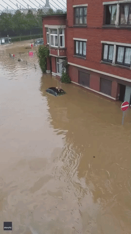 Liege Residents Rescue Dogs From Deep Floodwater