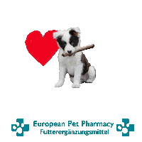 Border Co Sticker by Europeanpetpharmacy