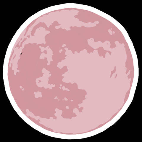 pink moon