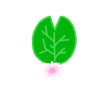 Anterie capybara carpincho water lily carpincho magico Sticker