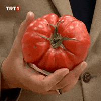 Angry Blush GIF by TRT