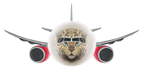 Airplane Takeoff Sticker by Rossiya Airlines