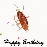 Happy Birthday GIF