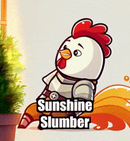 Sun Relax GIF by Zorooster
