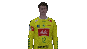 Handball Gwdminden Sticker by GWD Minden Handball-Bundesliga GmbH & Co.KG
