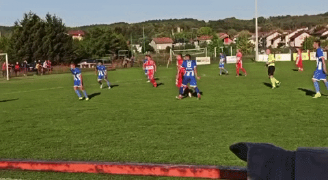 akopolumenta giphyupload GIF