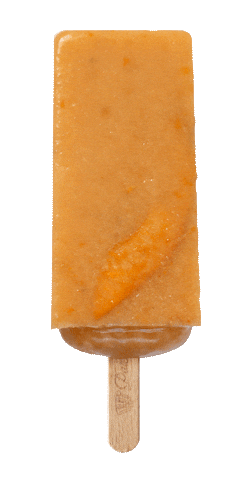 Summer Ice Sticker by Paleta Loca