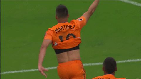Major League Soccer Football GIF by Houston Dynamo