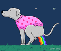 cat dog GIF by Juan Billy